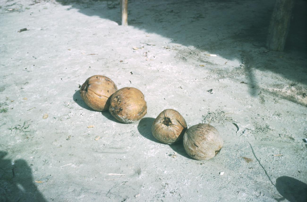 BD/209/4011 -
Cocosnoten