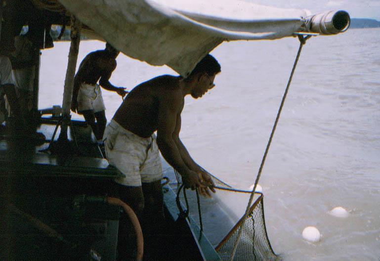 BD/209/5117 -
Vervoer per boot