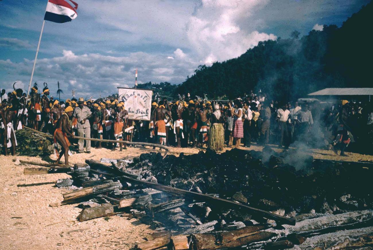 BD/209/8030 - 
Verkiezingen Nieuw Guinea Raad
