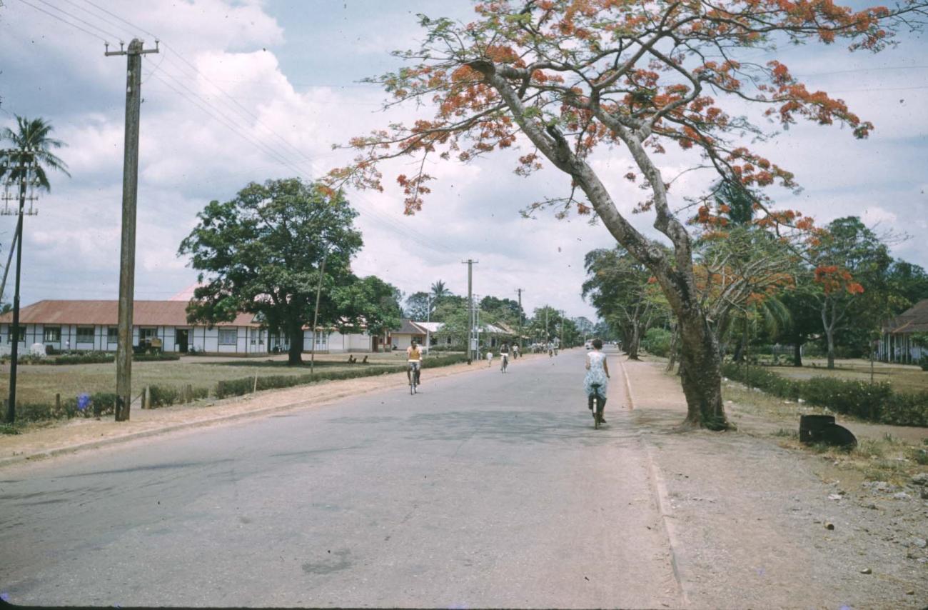 BD/209/9093 - 
Merauke
