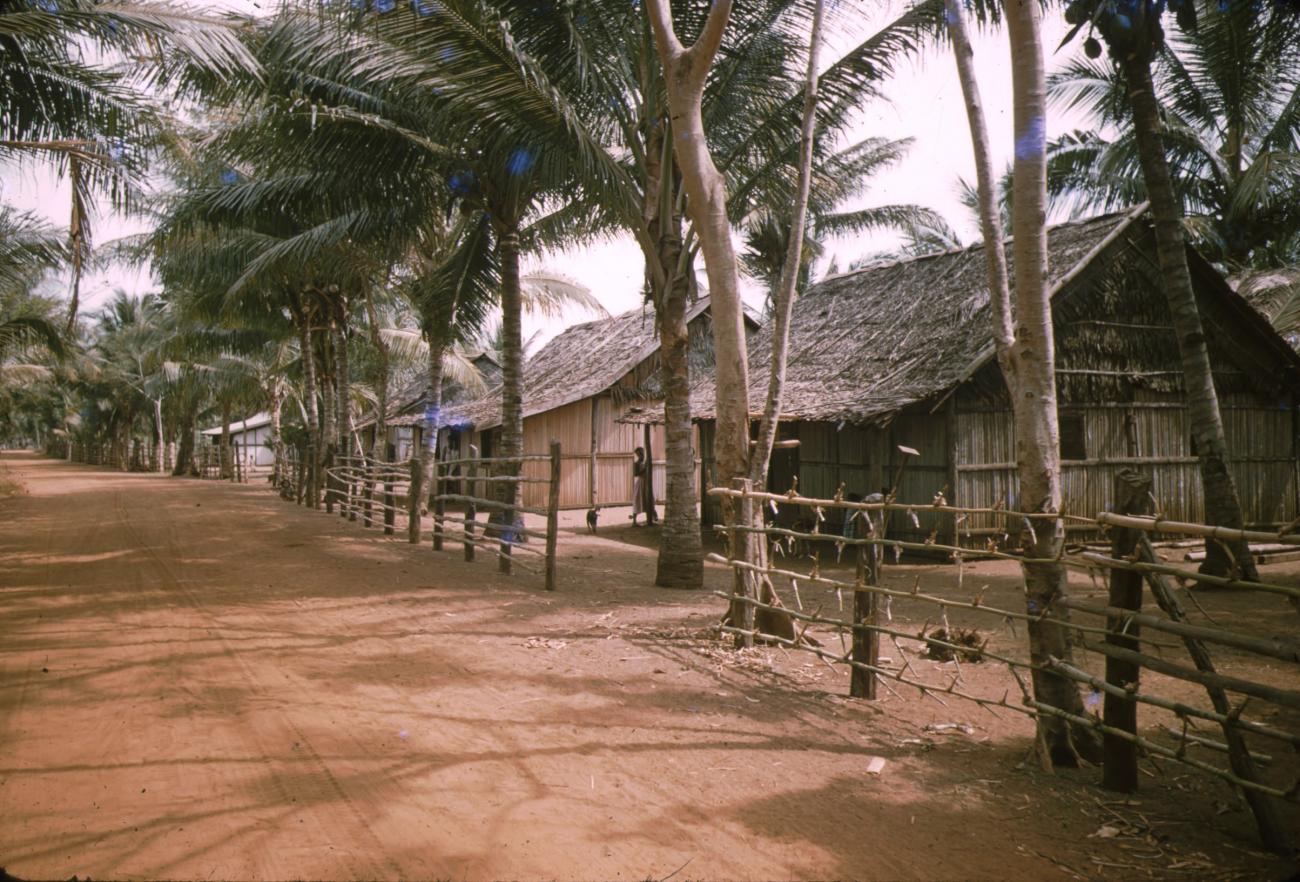 BD/209/9103 - 
Merauke
