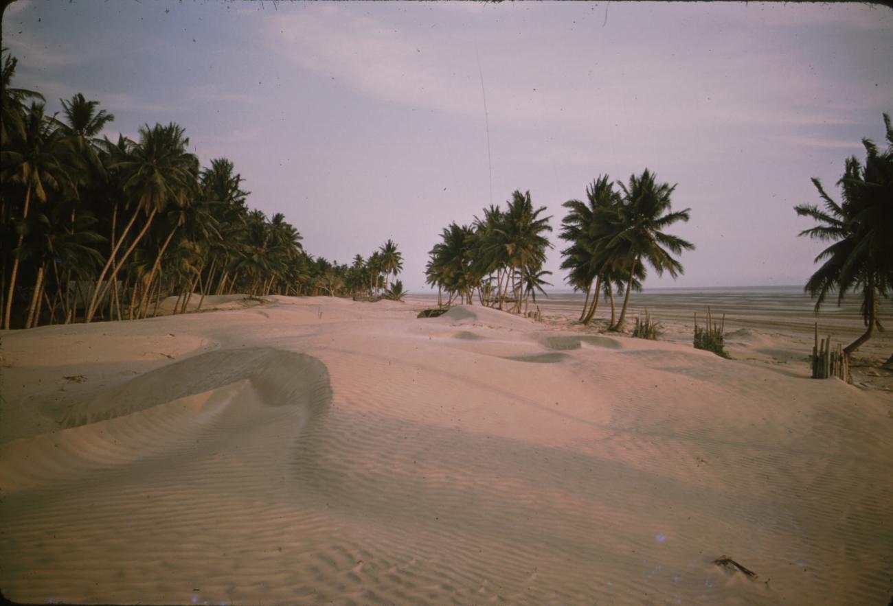 BD/209/9109 - 
Merauke
