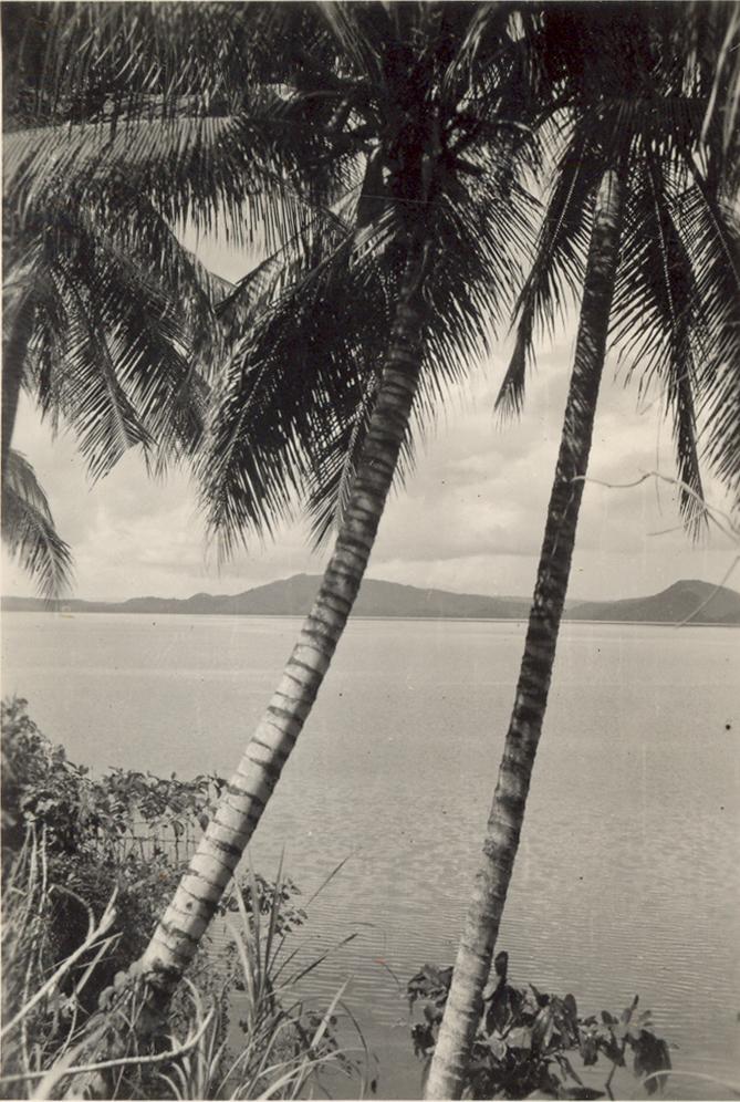 BD/308/10 - 
Sentani
