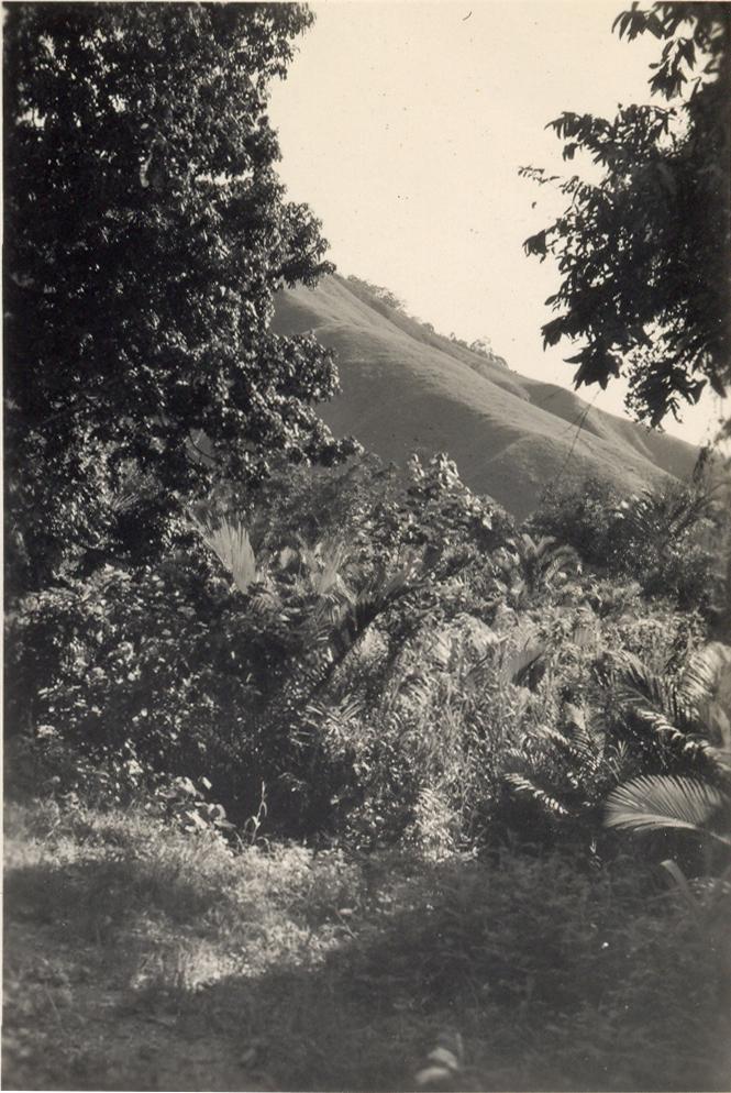 BD/308/14 - 
Sentani
