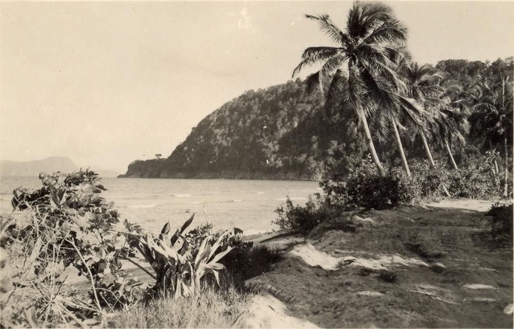 BD/308/16 - 
Sentani
