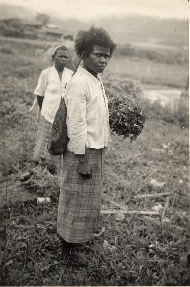 BD/308/18 - 
Sentani
