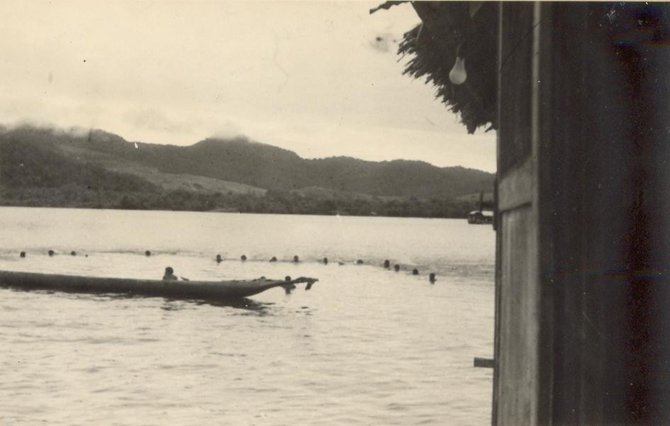 BD/308/40 - 
Sentani
