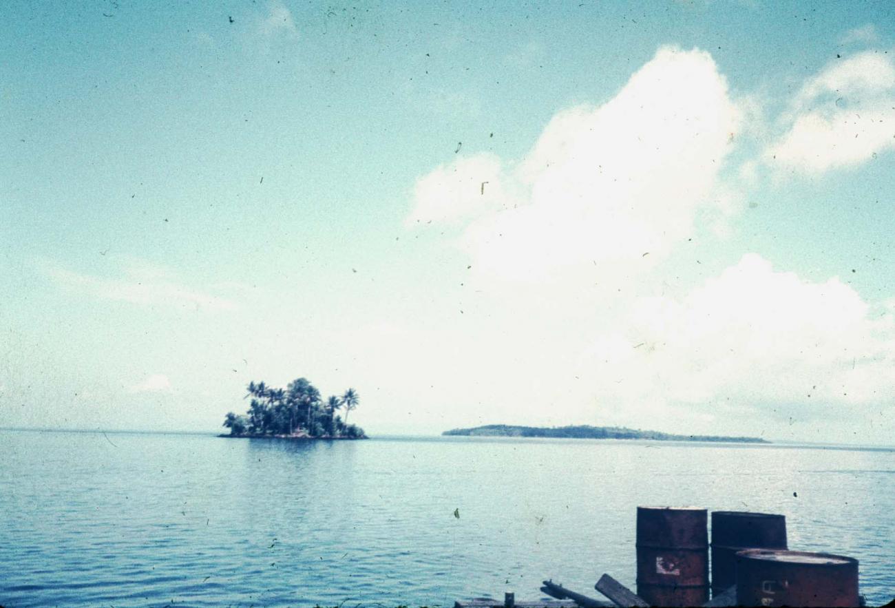 BD/144/395 - 
Foto vanaf schip van o.m. eiland met bomen begroeid
