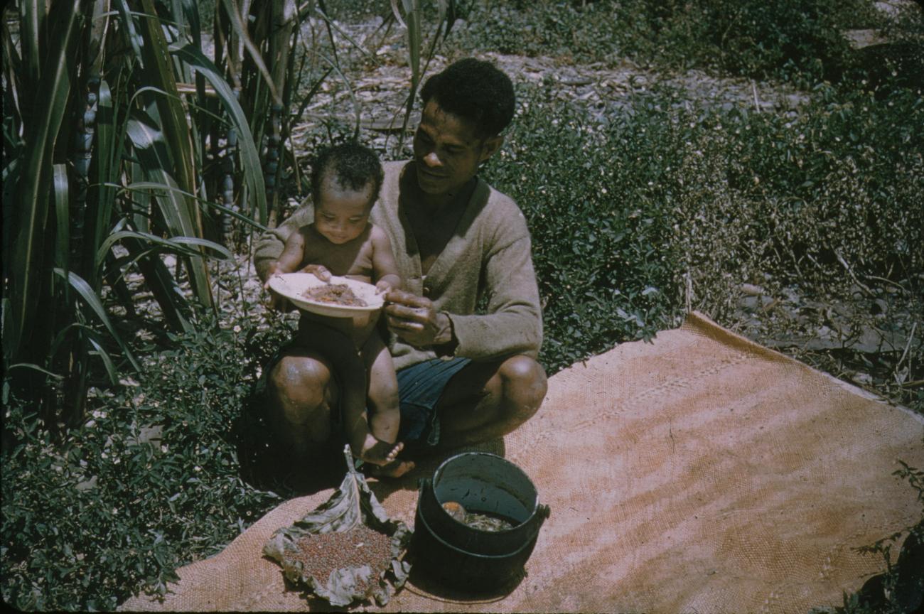 BD/144/469 - 
Vader en kind bezig met plukken bessen
