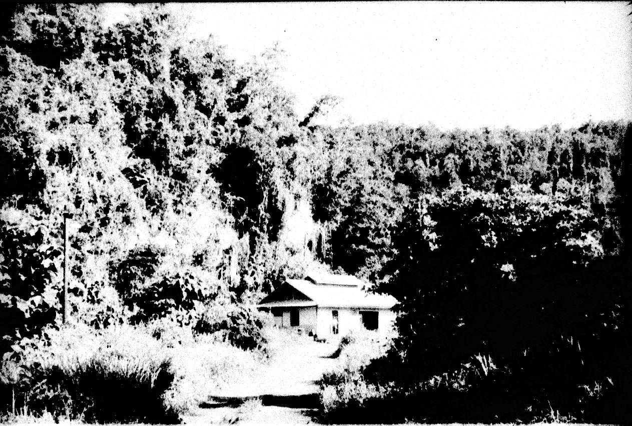 BD/67/129 - 
House surrounded by the forest
