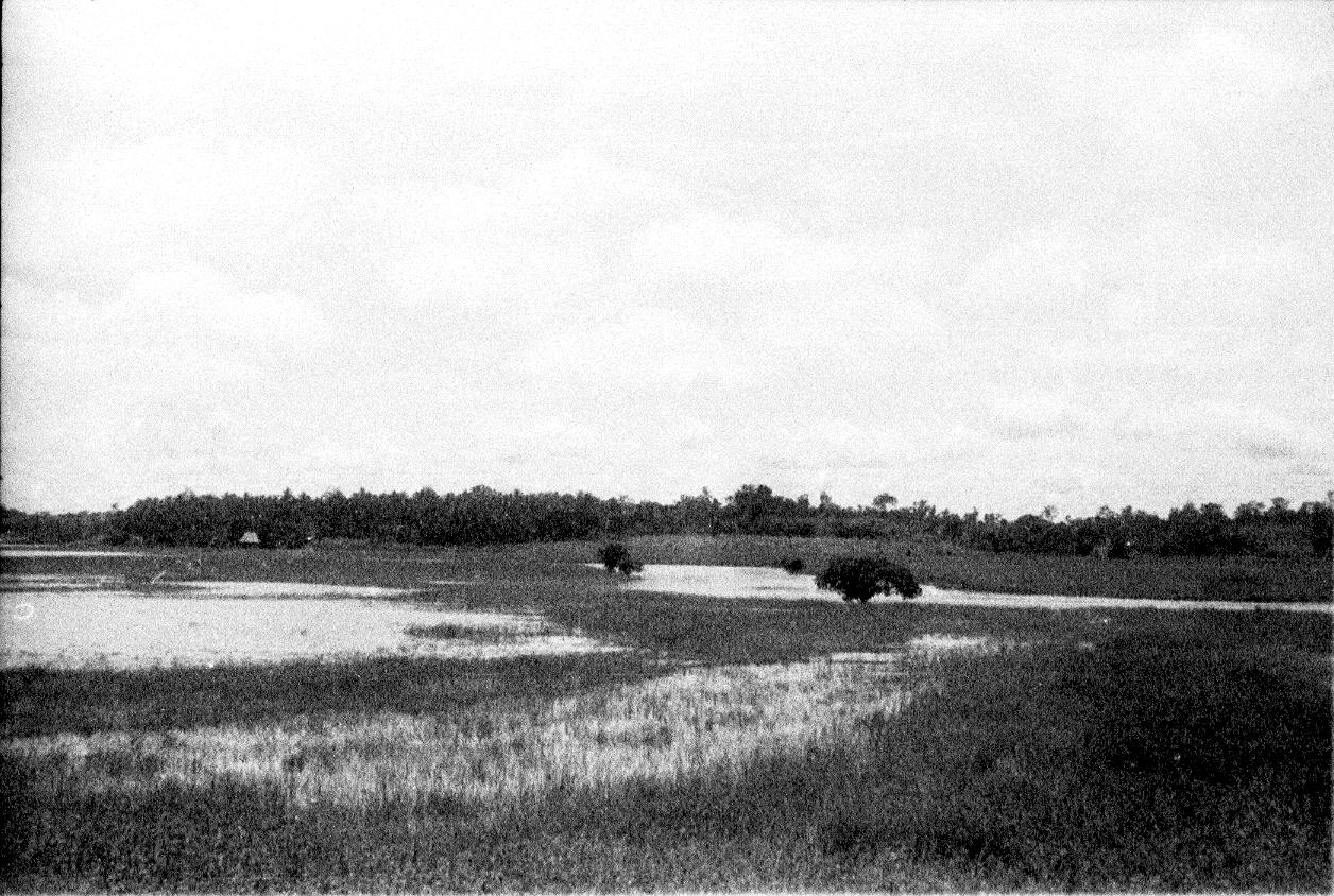 BD/67/240 -
Landschapsfoto van water en riet