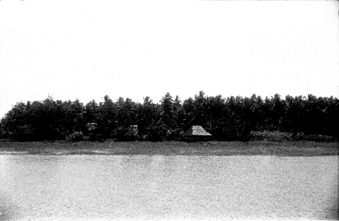 BD/67/242 - 
Landschapsfoto van water en oever

