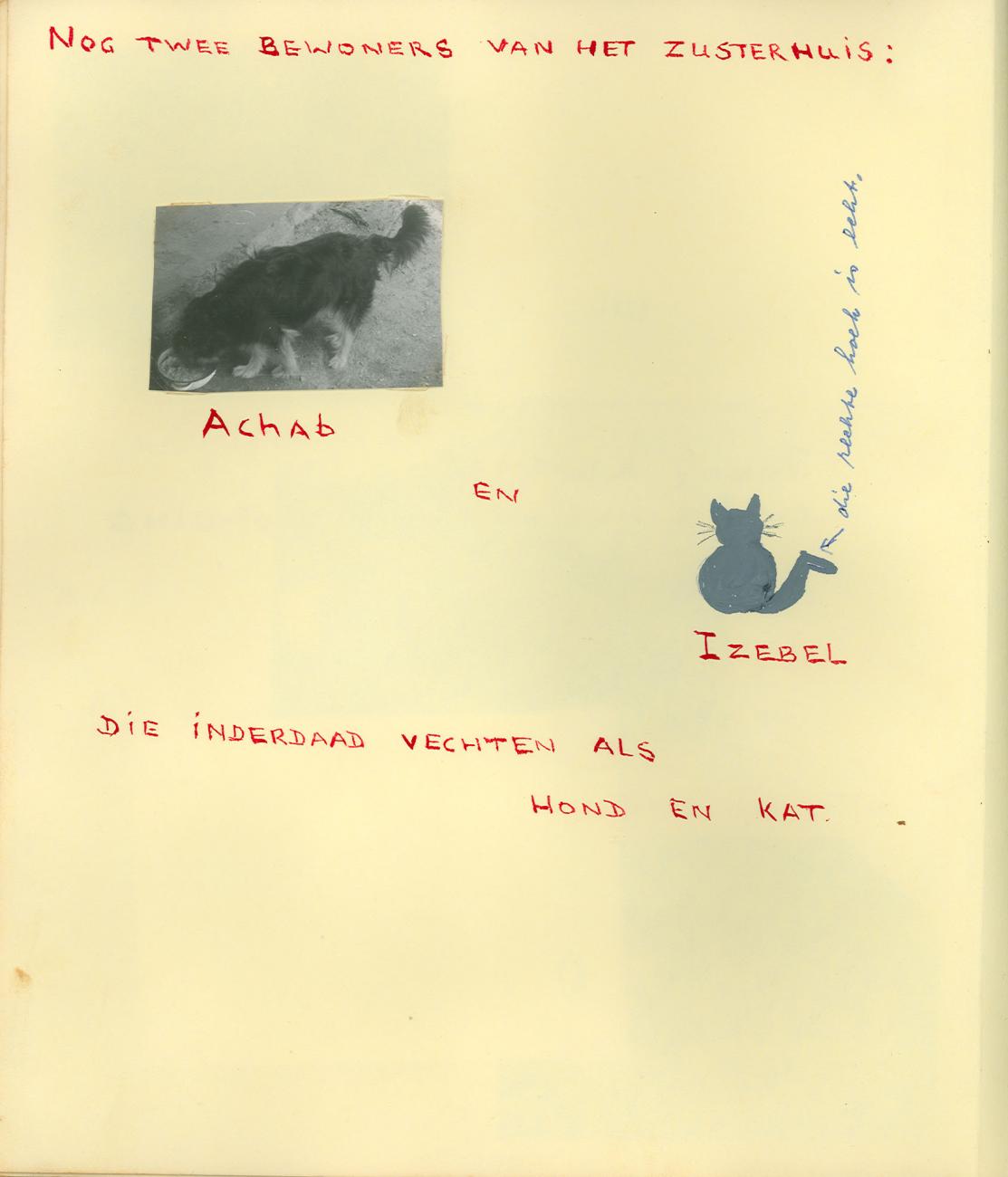 BD/83/16 - 
Pets Achab and Izebel of the nurses home at Sarmi
