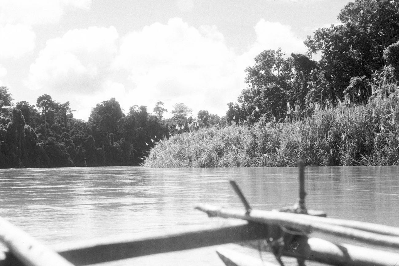 BD/133/105 -
Sarmi-Hollandia: Opname vanuit een boot over de rivier