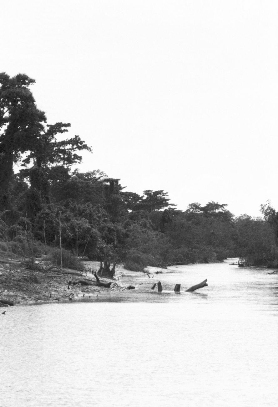 BD/133/1153 - 
Rivier met dicht beboste oevers
