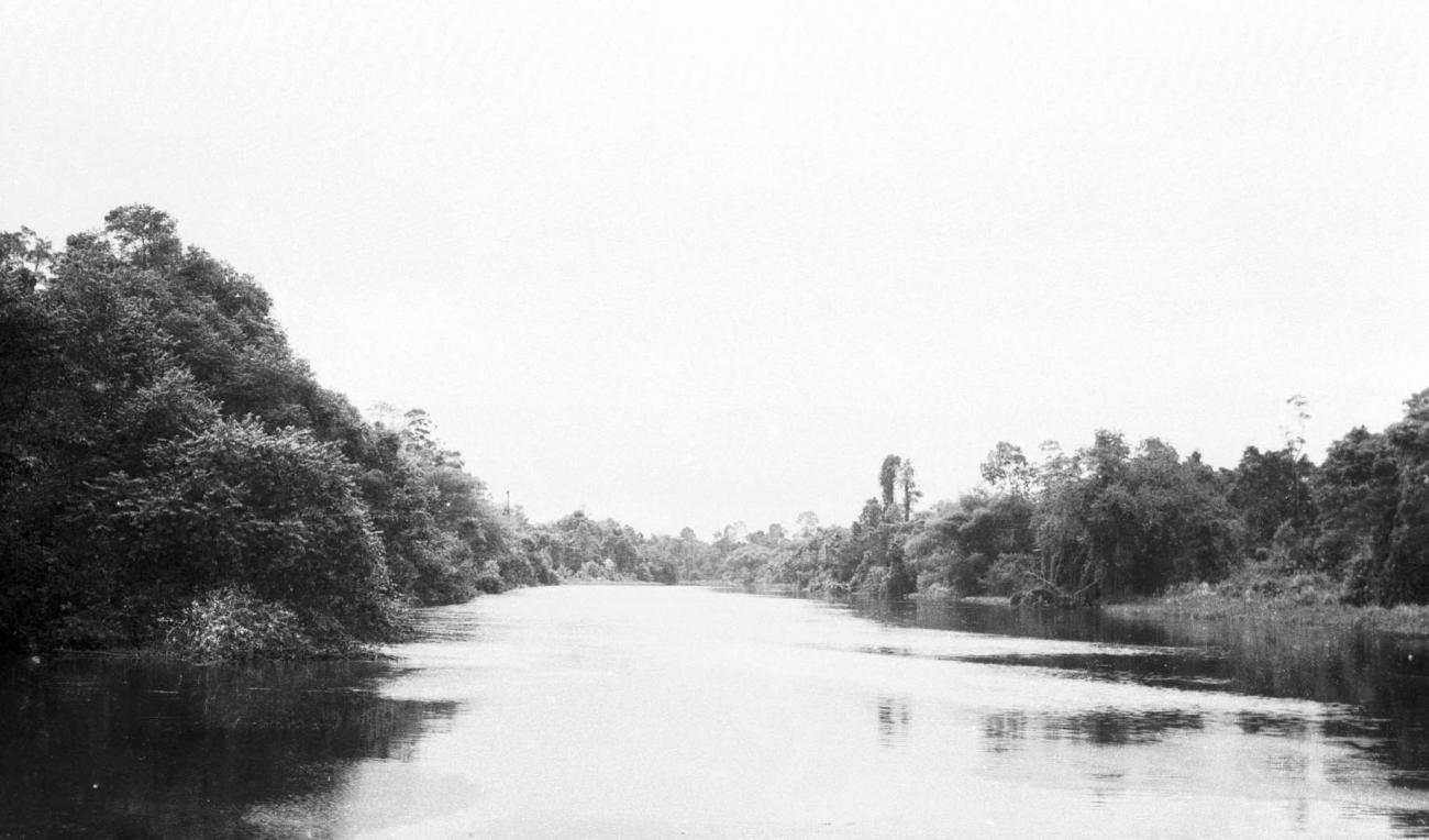 BD/133/226 -
Opname van de rivier met haar oevers