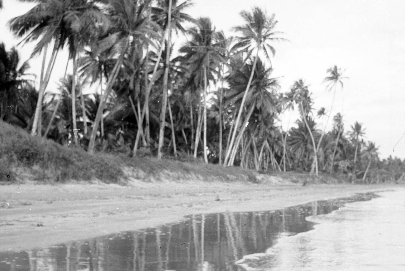 BD/133/22 -
Opname van het strand bij Merauke