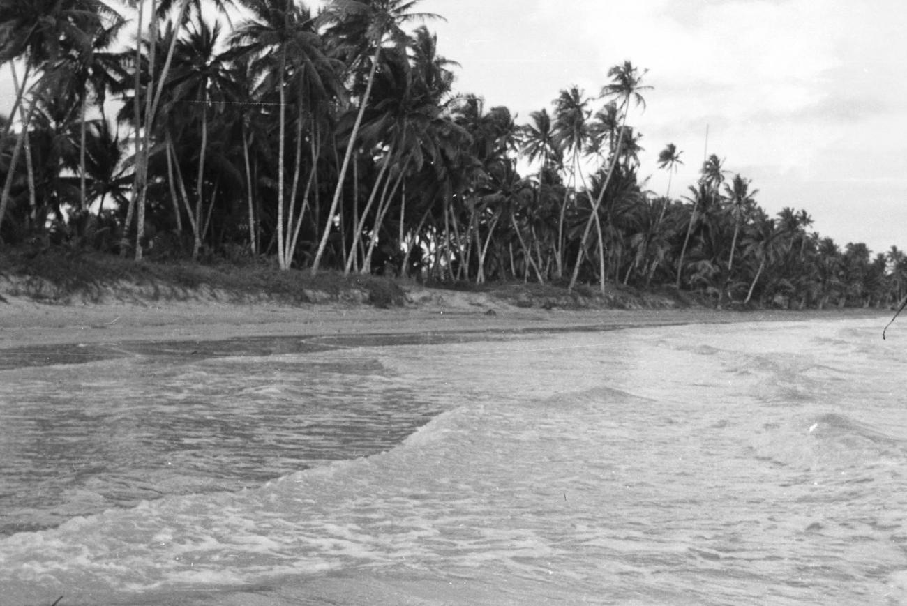 BD/133/23 -
Opname van het strand bij Merauke