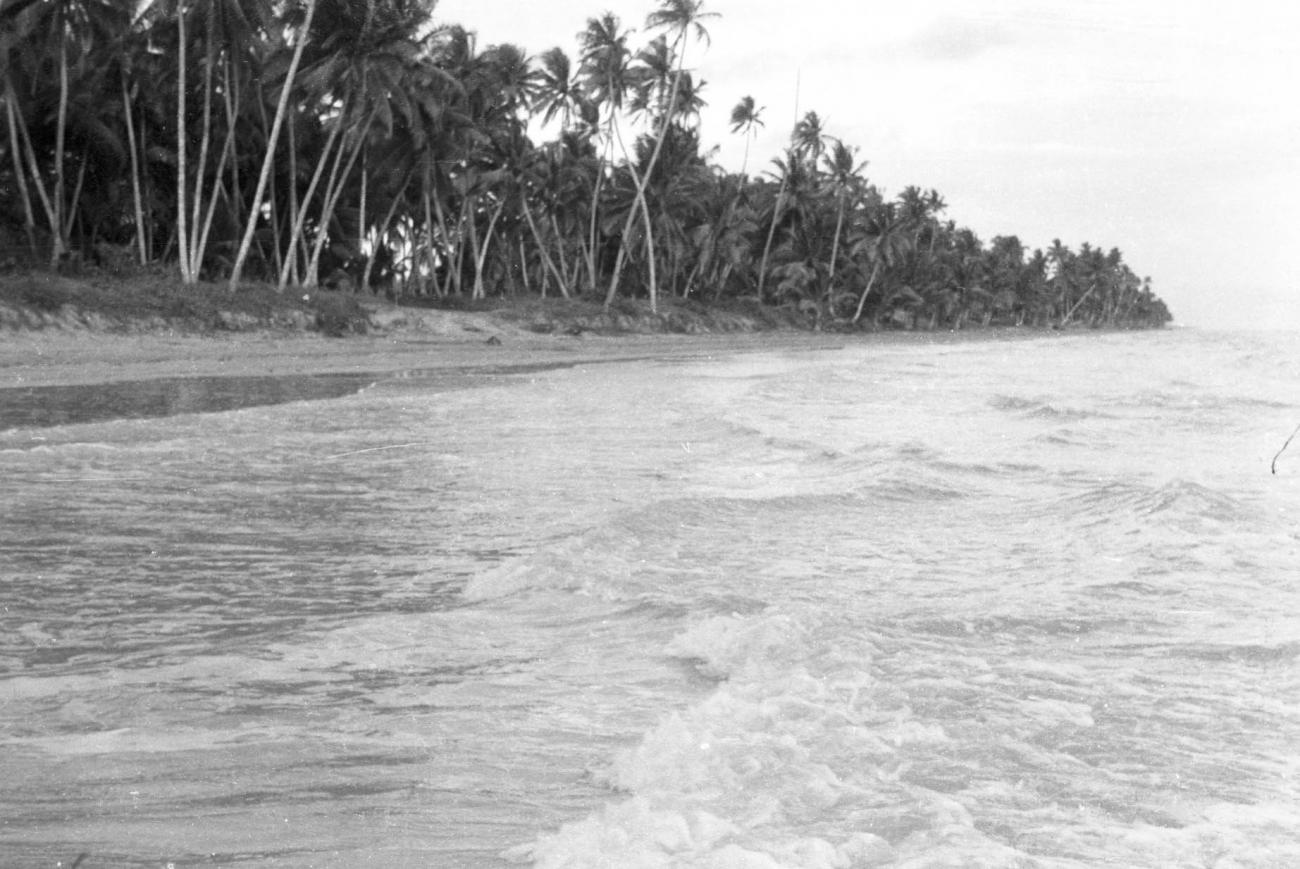 BD/133/24 -
Opname van het strand bij Merauke