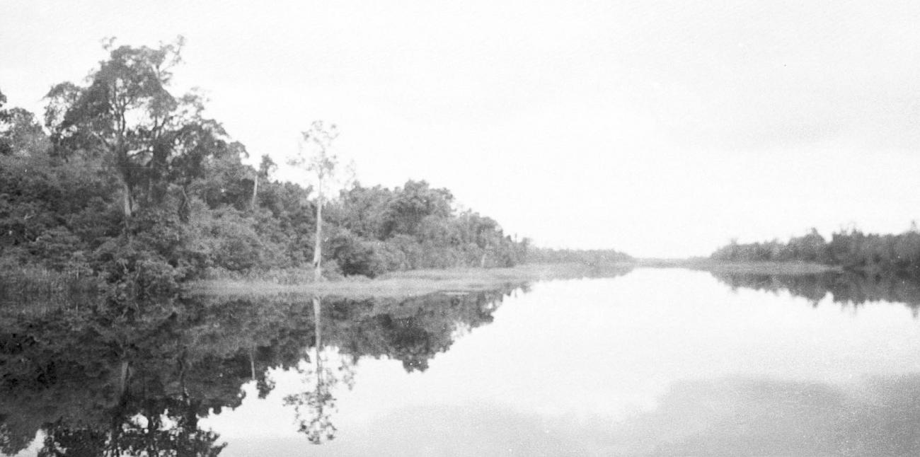 BD/133/274 - 
Opname van de rivier met riet aan de oevers
