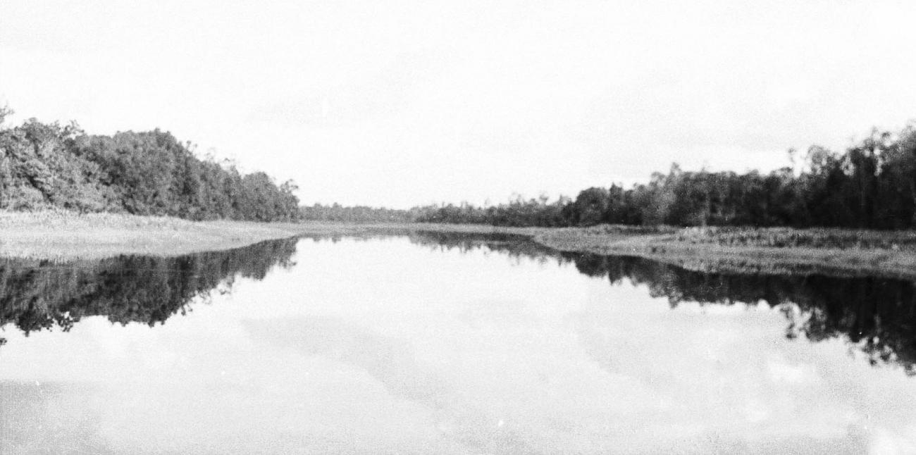 BD/133/276 - 
Opname van de rivier met riet aan de oevers
