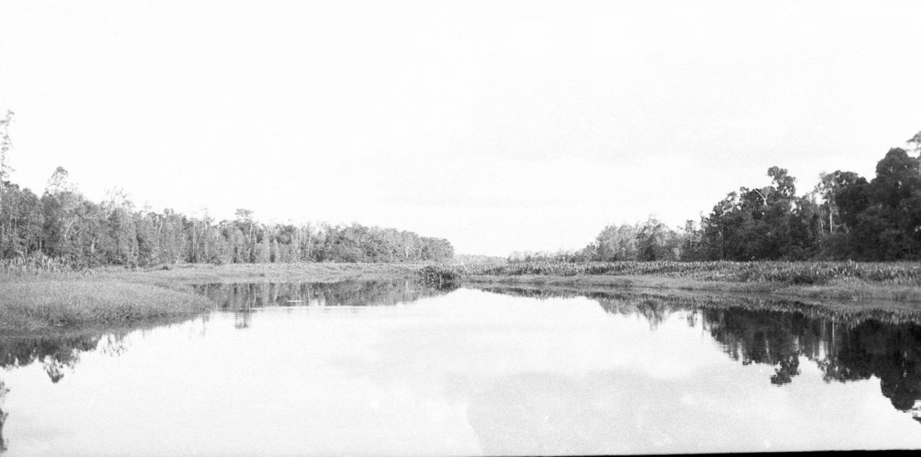 BD/133/277 - 
Opname van de rivier met riet aan de oevers
