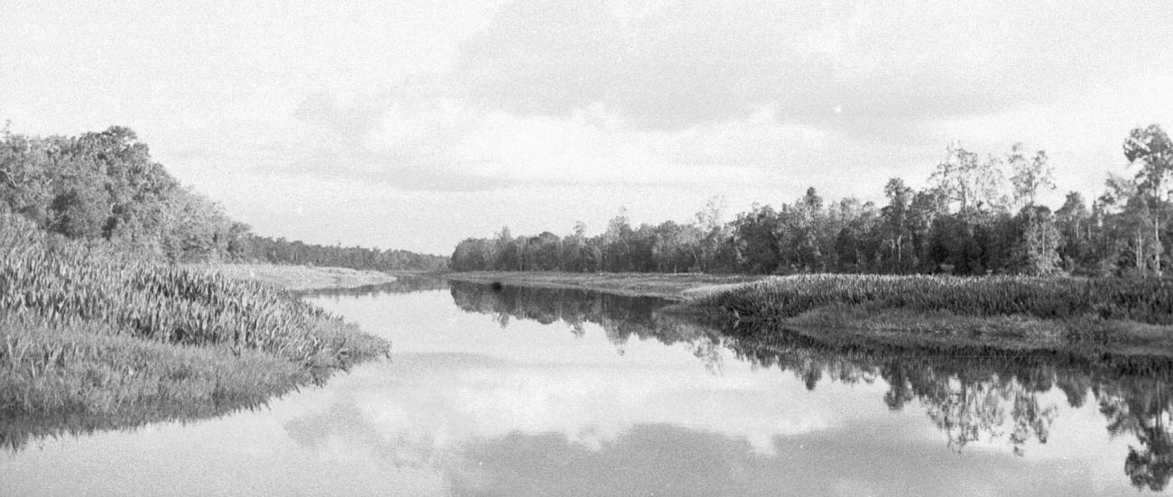 BD/133/280 - 
Opname van de rivier met rietbegroei
