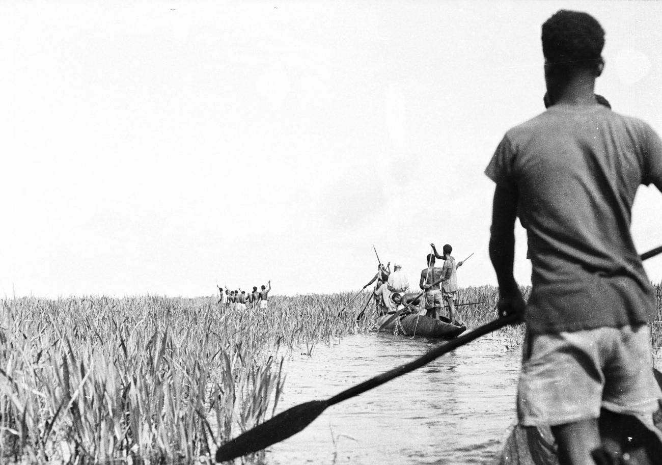 BD/133/304 - 
Tocht Merauke-Kepi-Cook: In prauwen varend door het riet
