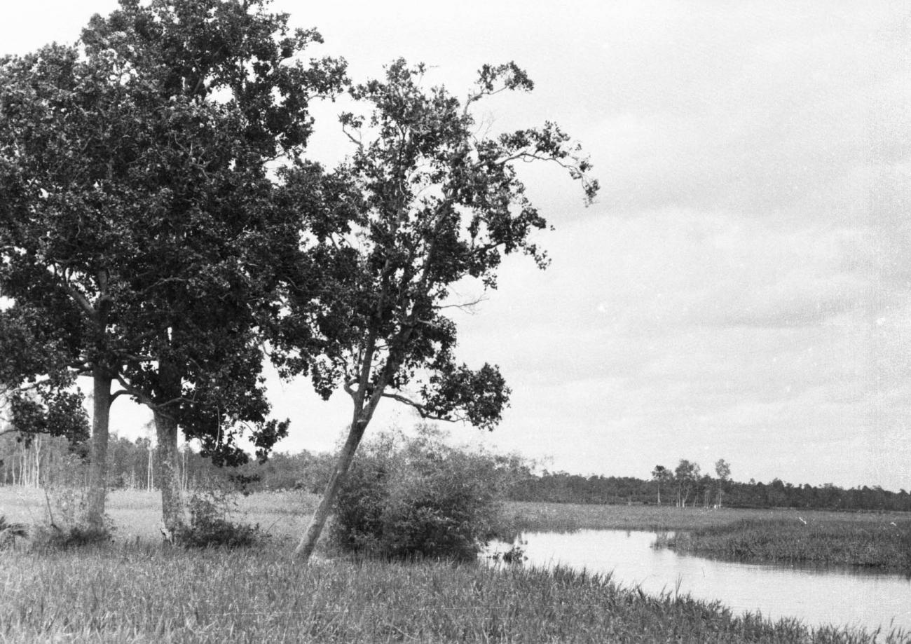 BD/133/414 - 
Opname van het landschap bij Okaba????
