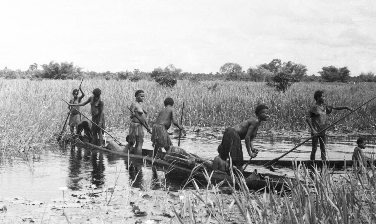 BD/133/434 - 
Tocht Merauke-Kepi-Cookrivier vv: Prauwen tussen het riet
