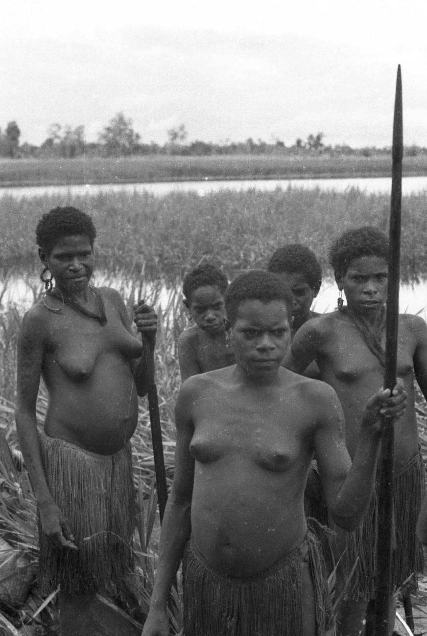 BD/133/437 - 
Tocht Merauke-Kepi-Cookrivier vv: Vrouwen in het riet
