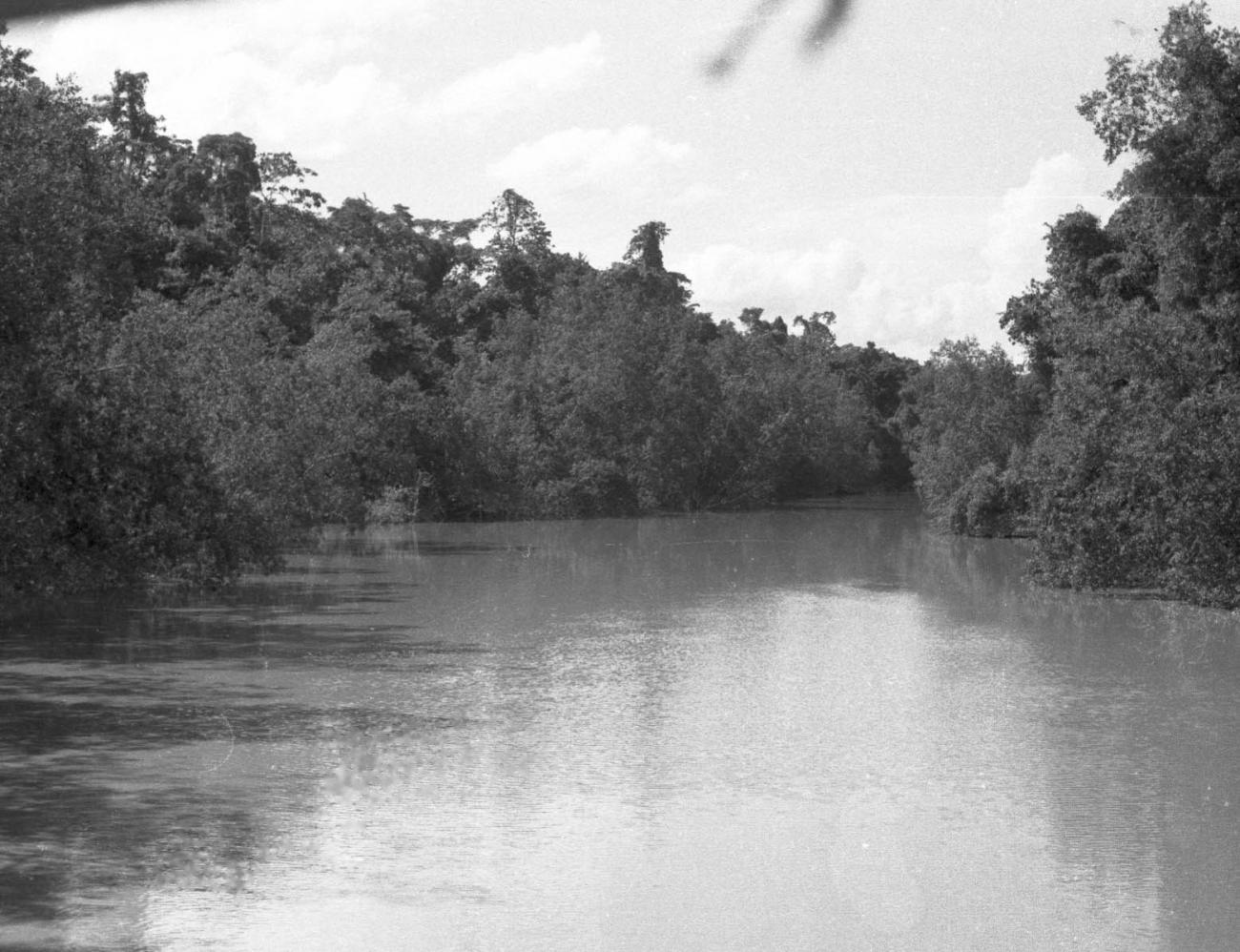 BD/133/465 - 
Opname van de rivier

