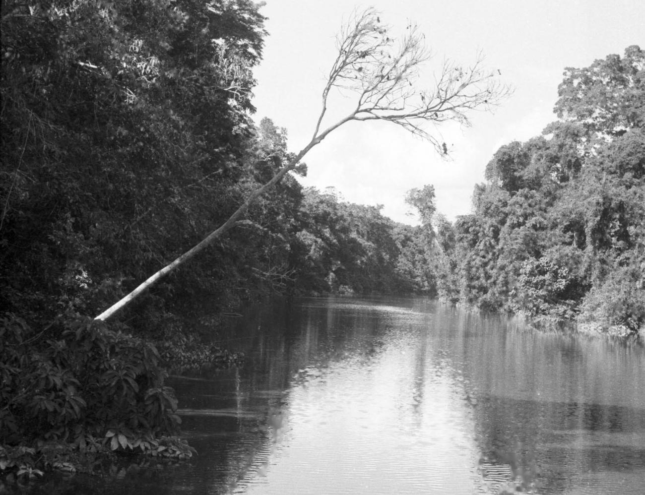 BD/133/468 - 
Opname van de rivier
