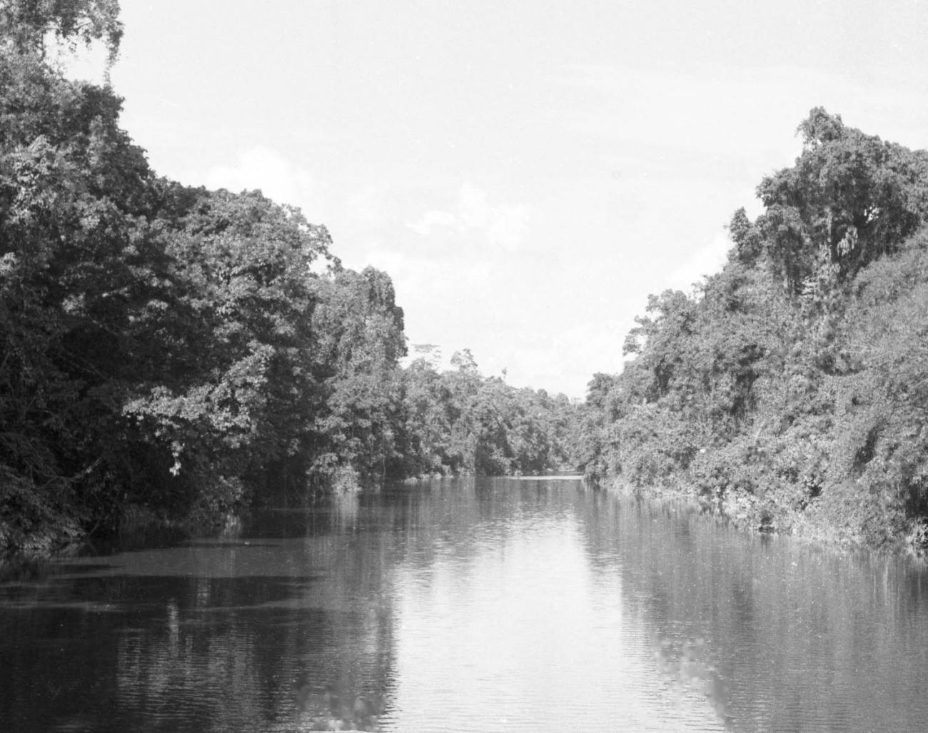 BD/133/469 - 
Opname van de rivier
