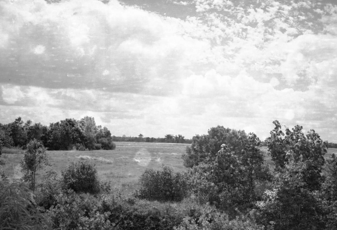BD/133/486 - 
Landschapsopname
