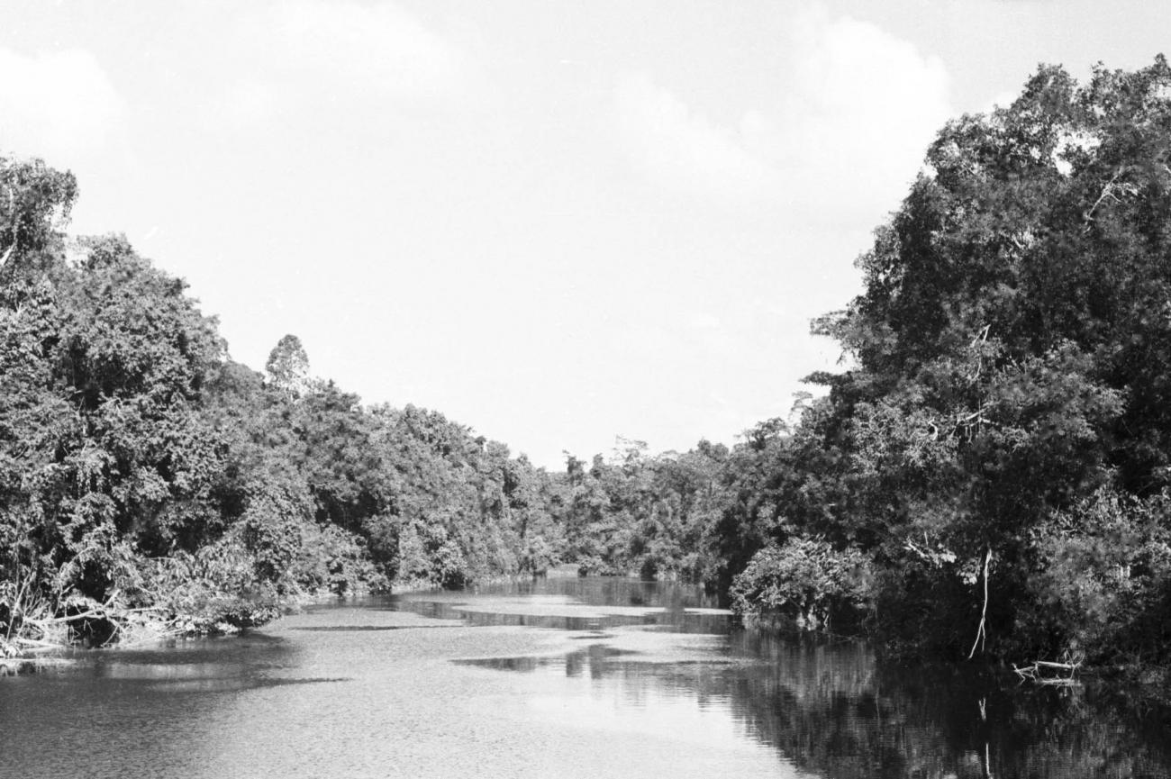 BD/133/490 - 
Opname van de rivier
