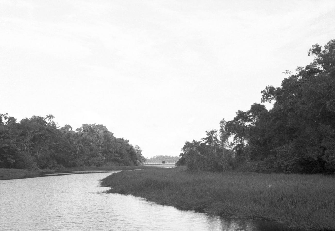 BD/133/497 - 
Opname van de rivier
