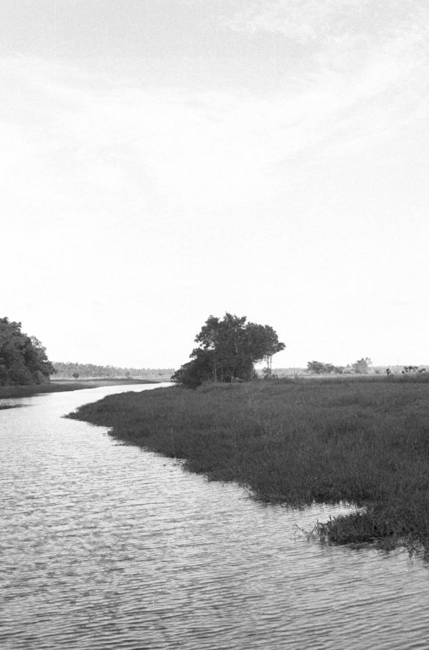 BD/133/498 - 
Opname van de rivier
