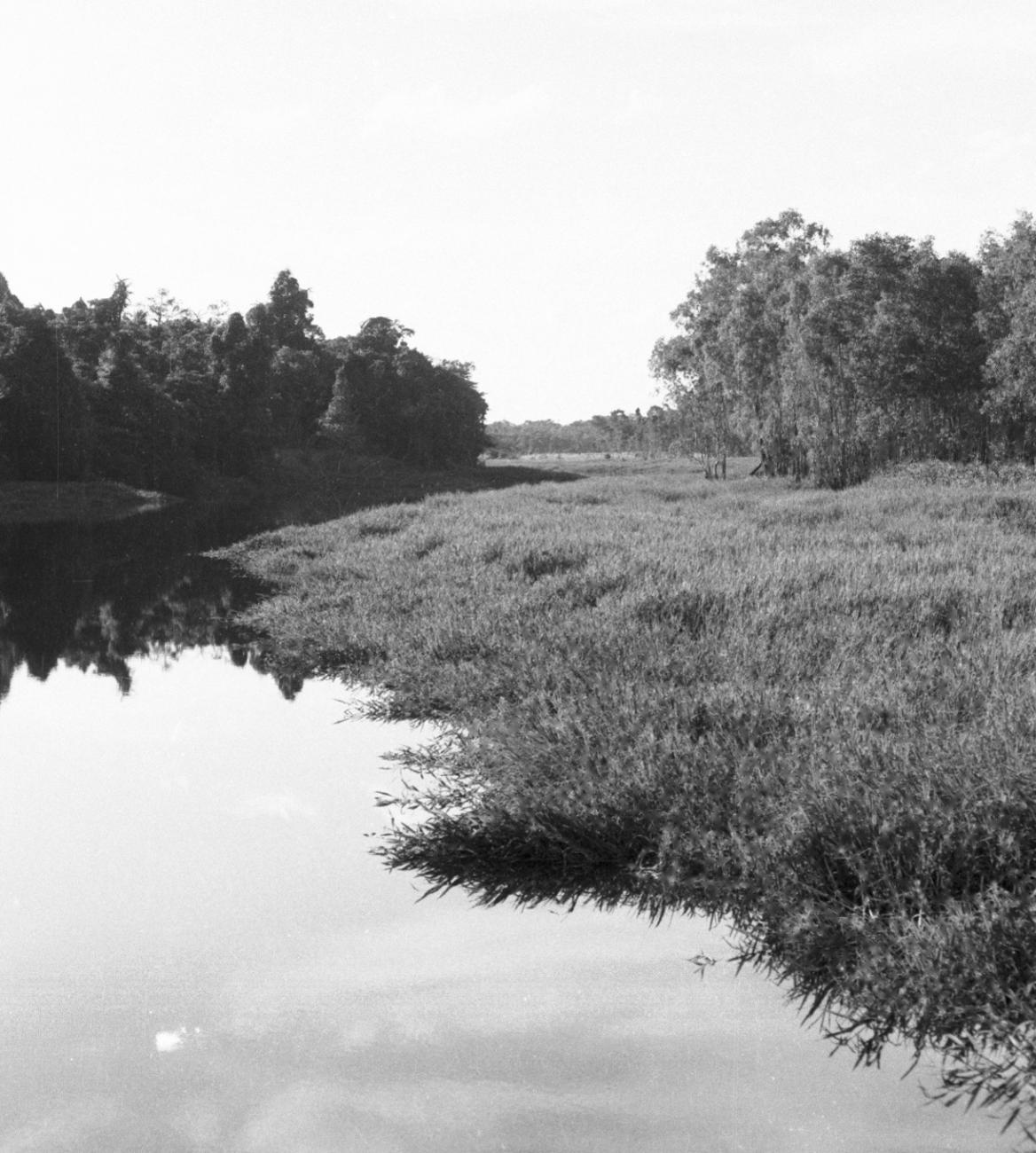 BD/133/504 - 
Opname van de rivier
