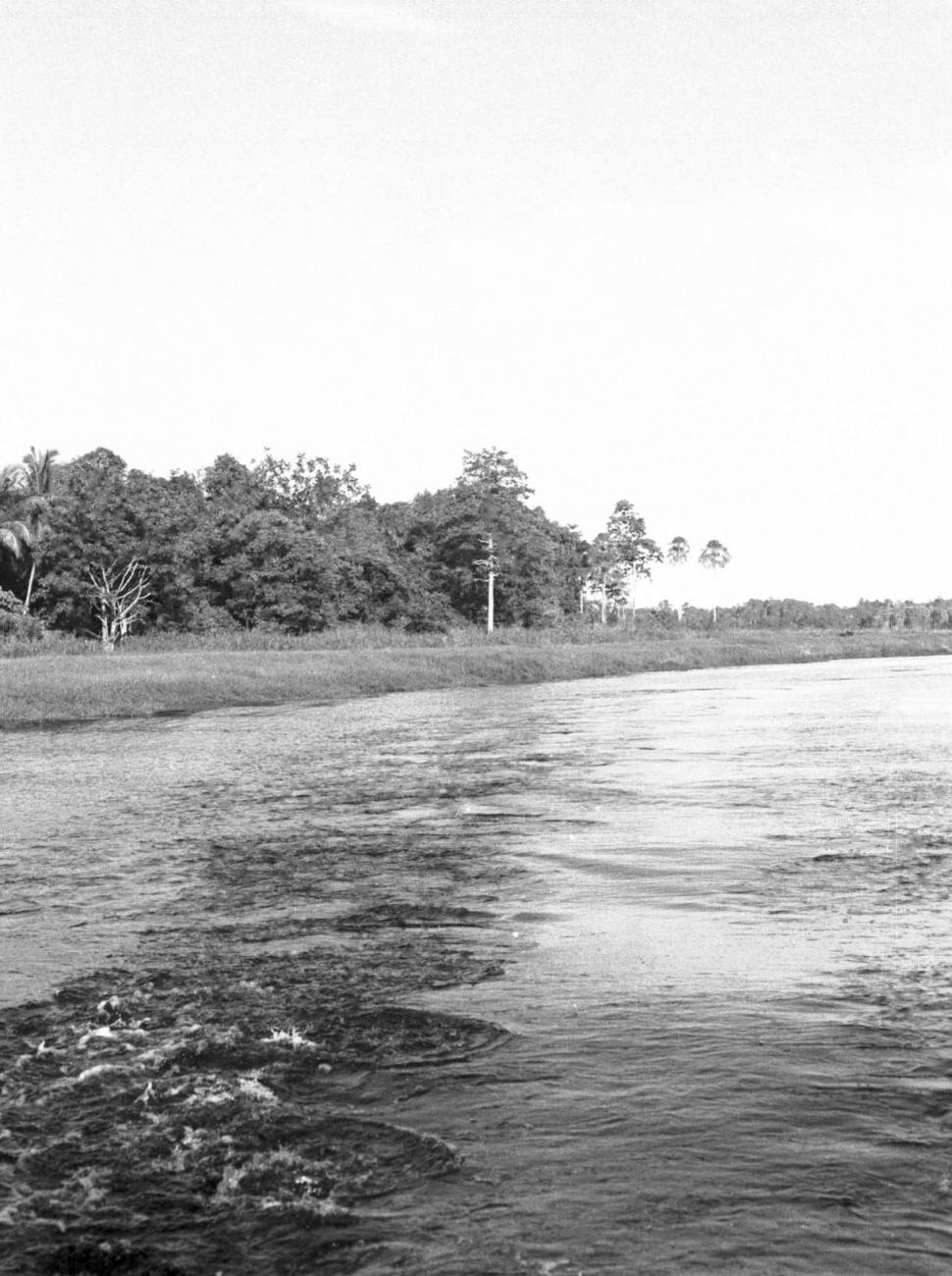 BD/133/505 - 
Opname van de rivier
