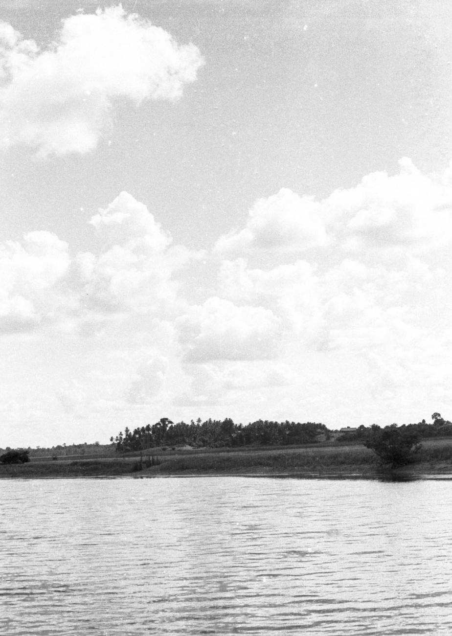 BD/133/526 - 
Opname van de oever, genomen vanaf het water
