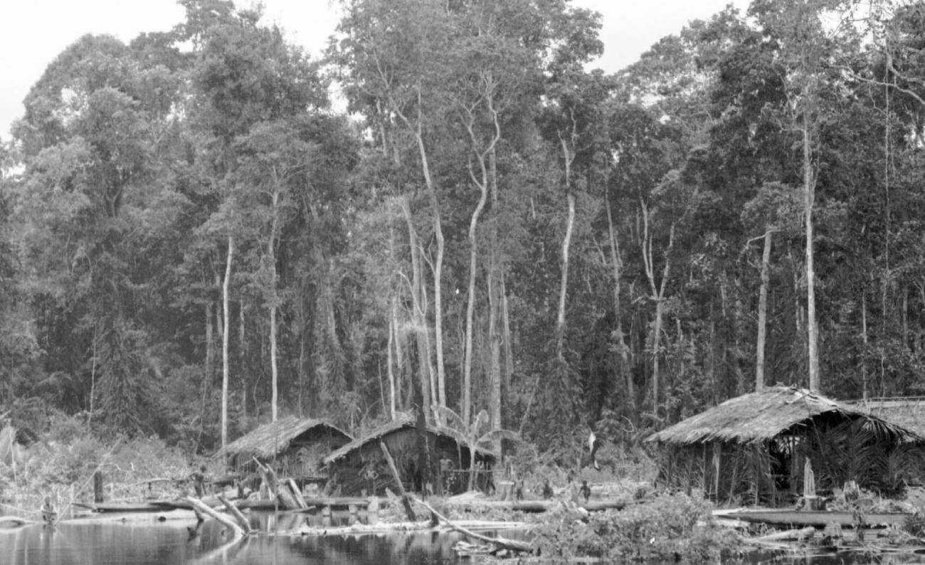 BD/133/53 -
Tocht Merauke-Kapi: Nederzetting aan de rivier