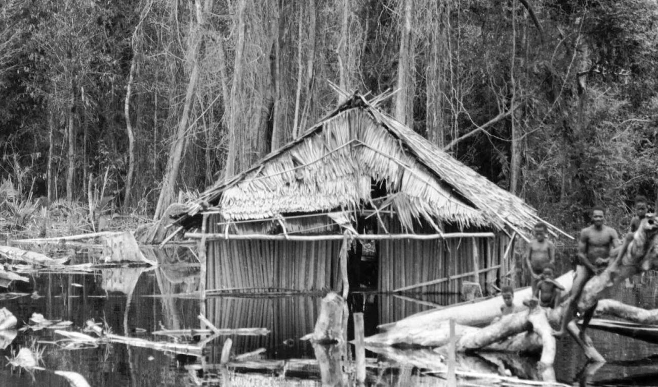 BD/133/55 -
Tocht Merauke-Kapi: Een huis aan het water