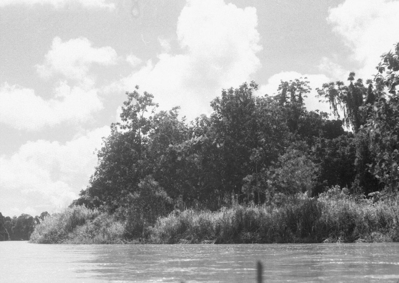 BD/133/573 - 
De rivier met haar oever
