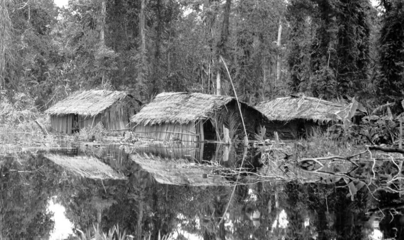 BD/133/58 -
Tocht Merauke-Kapi: Huizen aan het water