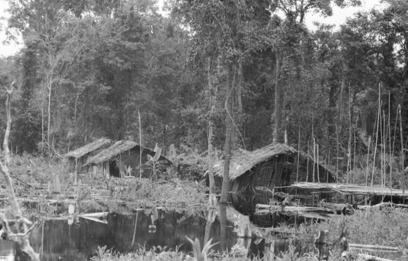 BD/133/59 -
Tocht Merauke-Kapi: Huizen aan het water