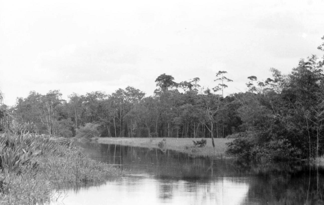 BD/133/61 -
Tocht Merauke-Kapi: Uitzicht over de rivier