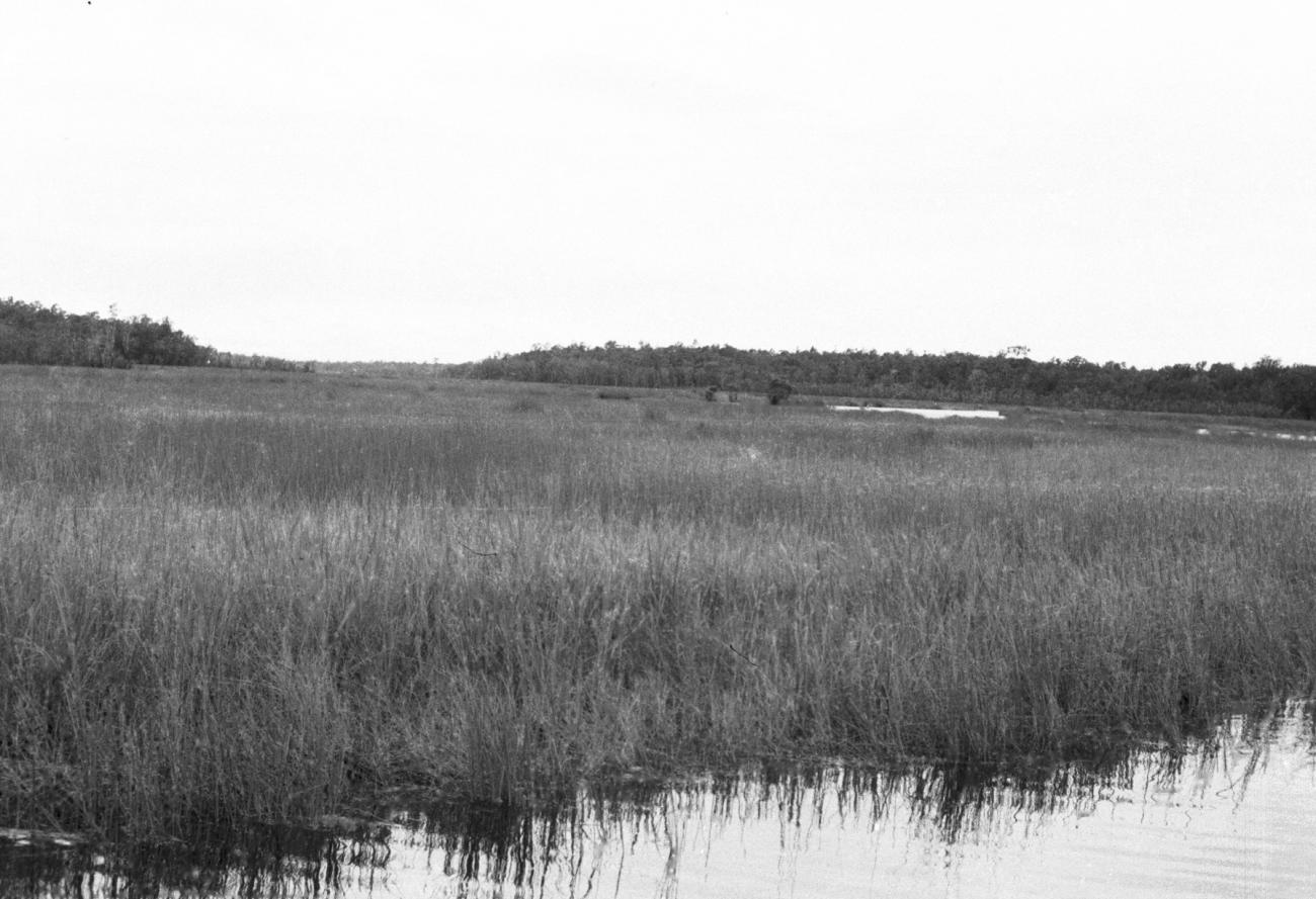 BD/133/646 - 
Rivierlandschap, gezien vanaf de rivier
