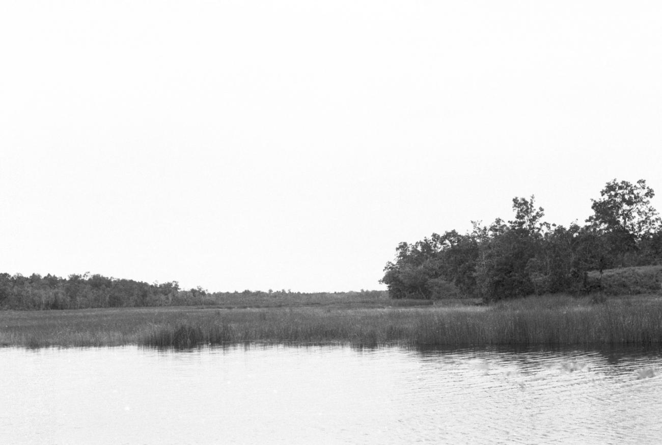 BD/133/647 - 
Rivieroever, gezien vanaf de rivier
