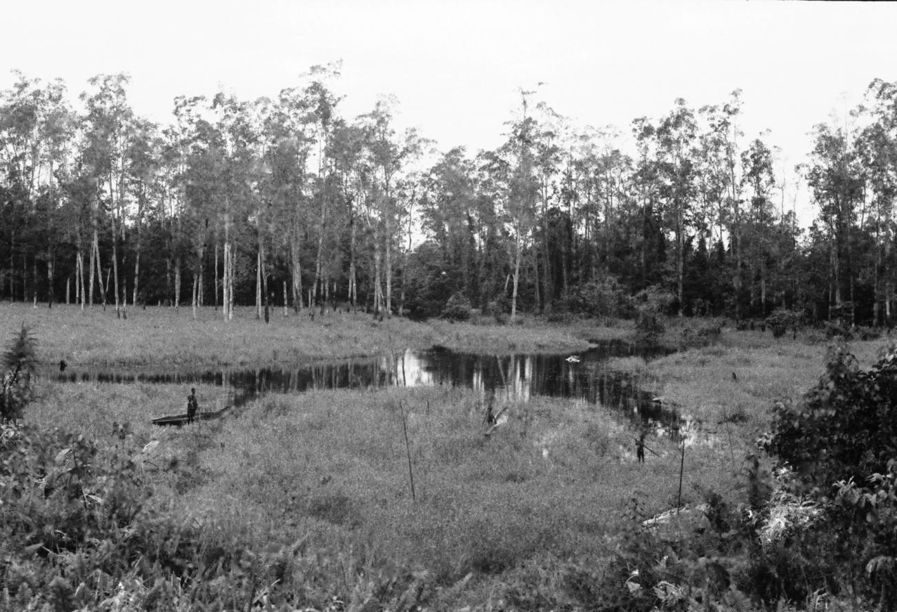 BD/133/655 - 
Rivieroever met Papoea-kinderen varend in prauwen door het riet
